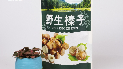 德遠帶您了解堅果食品包裝袋的特點以及常用袋型！